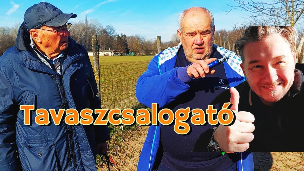 Így metszd az átoltásra szánt szőlőtőkét. #csemegeszőlő #szőlőskertek