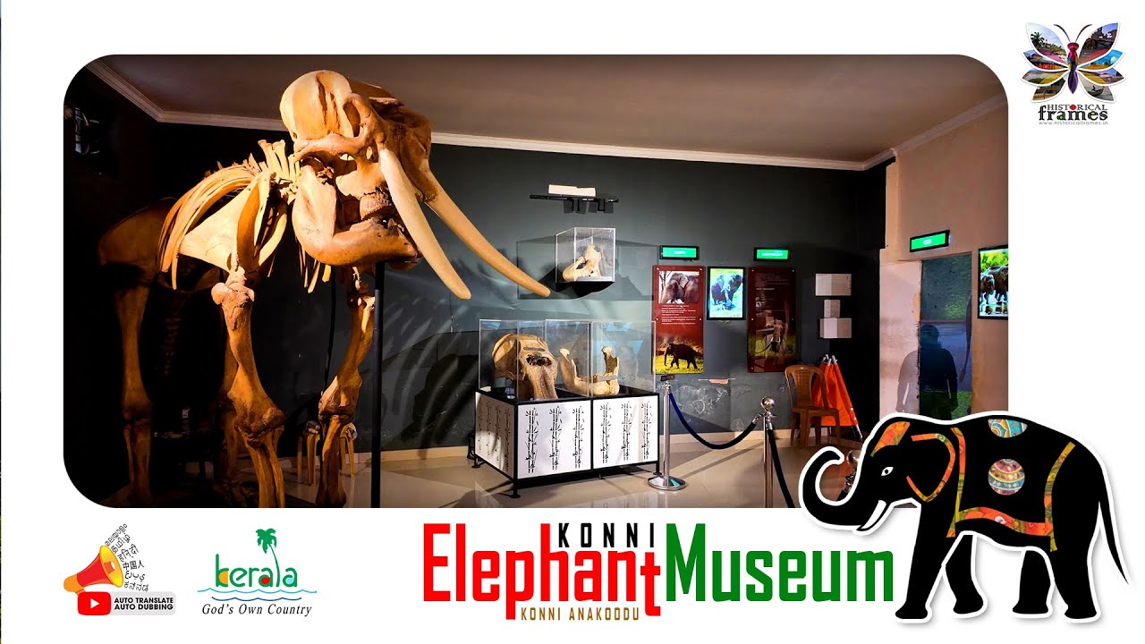Elephant Museum | Konni Anakoodu | Konni | Pathanamthitta district | Kerala | India