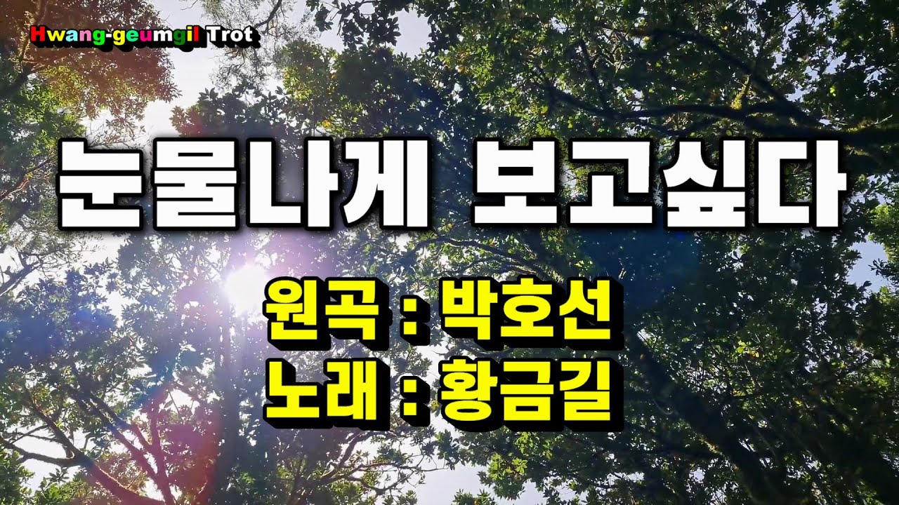 [Cover]  황금길 - 눈물나게 보고싶다  (원곡 /박호선)  영상가사