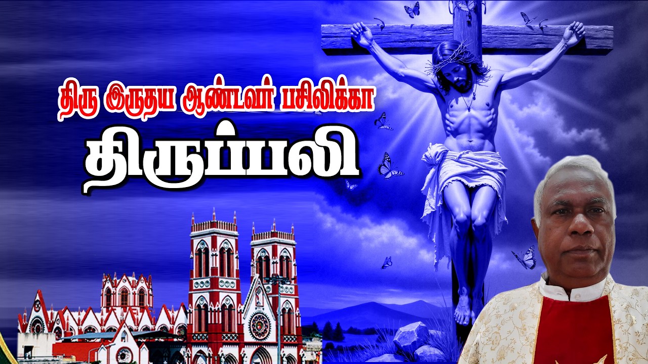 🔴நேரலை23.02.2026. தூய இருதய ஆண்டவர் பசிலிக்கா, திருப்பலி.06.00.AM