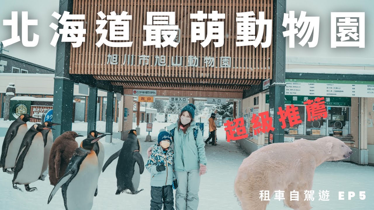 北海道最萌旭山動物園 | 超可愛企鵝遊行 讓所有人瘋狂 | 體驗雪地裡逛動物園 絕對是大推的行程 | 北海道 冬季自駕遊 EP5