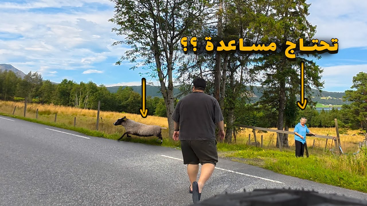 الطريق الى دائرة القطب الشمالي | النرويج
