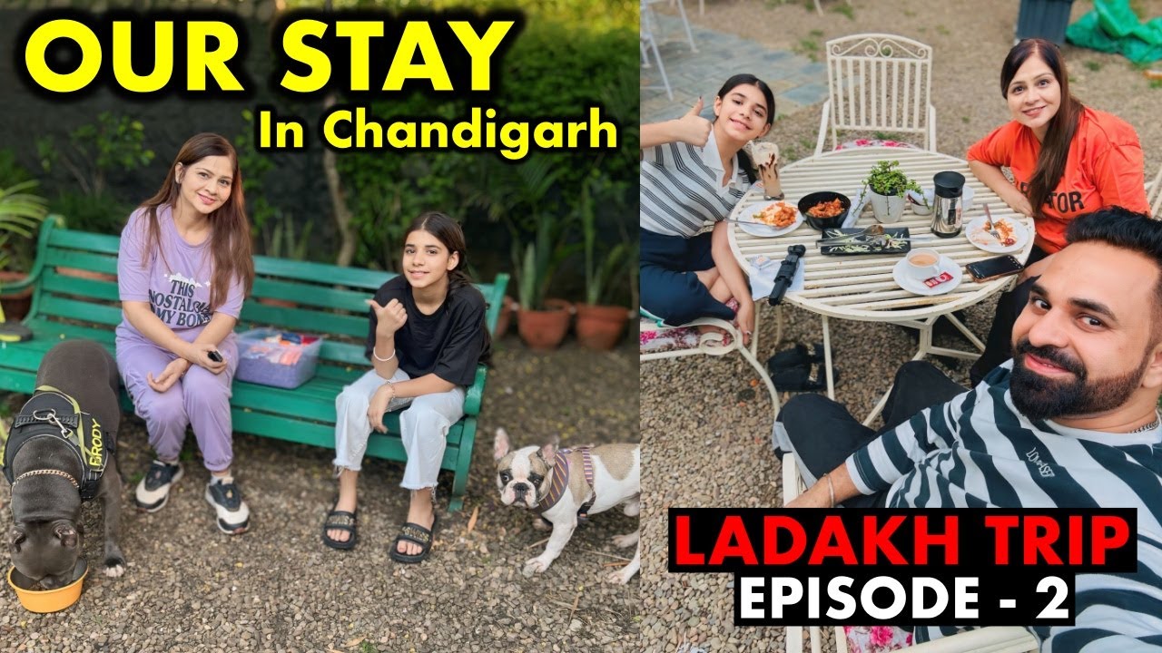 Our Stay in Chandigarh | Delhi to Ladakh by Road with 2 Dogs | Episode 2