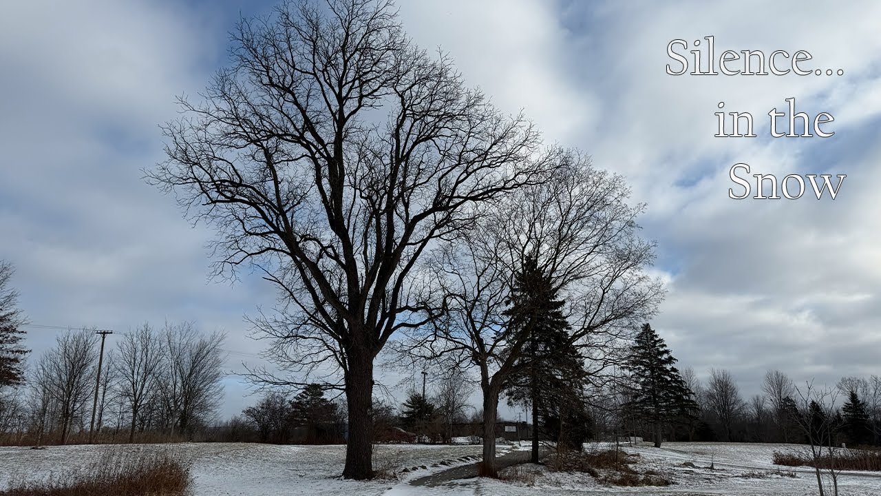 Silence in the Snow