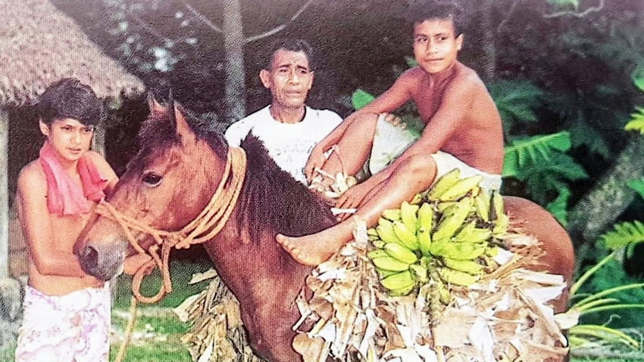 Wallis et Futuna : Celui qui a la nostalgie des chevaux - Vos photos notre histoire
