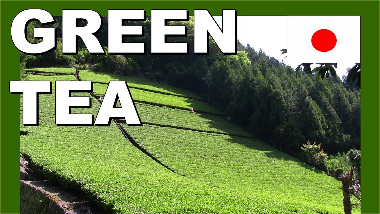 🚶‍♂️ Japan tea farmers - Walking in Japan 日本茶農家 - 日本でのウォーキング