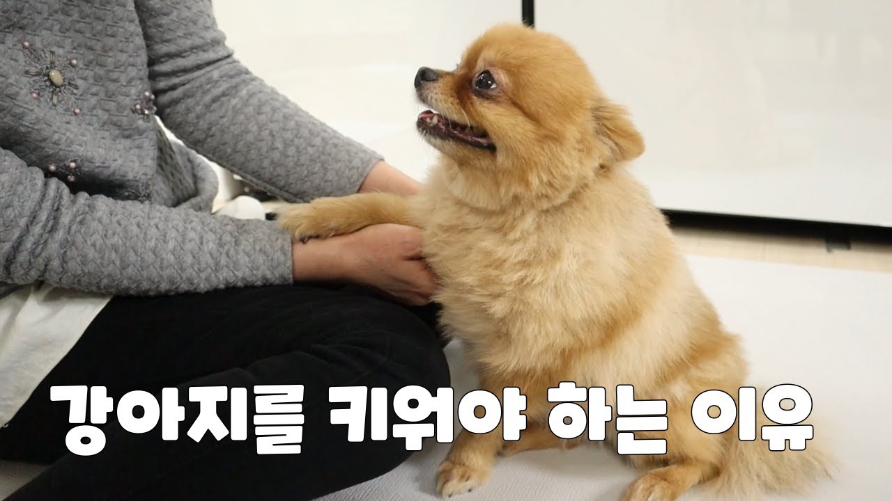 강아지에 애정이 없던 엄마와 사랑이 필요했던 송이 | 1년 후 서로에게 생긴 변화