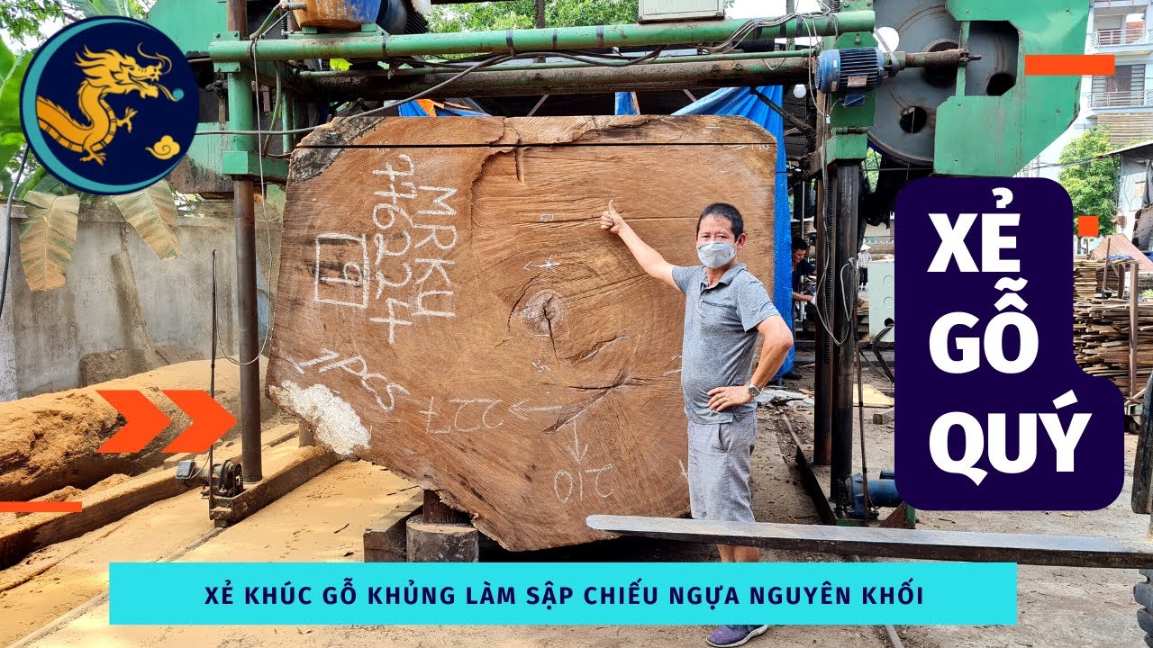 🔴  Xẻ cây gỗ gõ Khủng Ngàn Năm Tuổi làm 3 tấm Sập Chiếu Ngựa