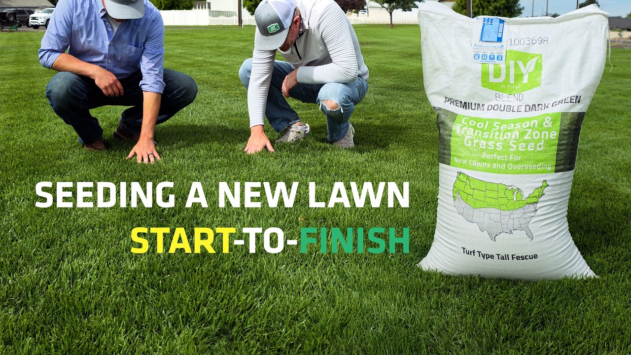 Spring Seeding a New Lawn: Opportunities & Challenges (Seed Selection, Fertilizer, Weeds, & Mowing)