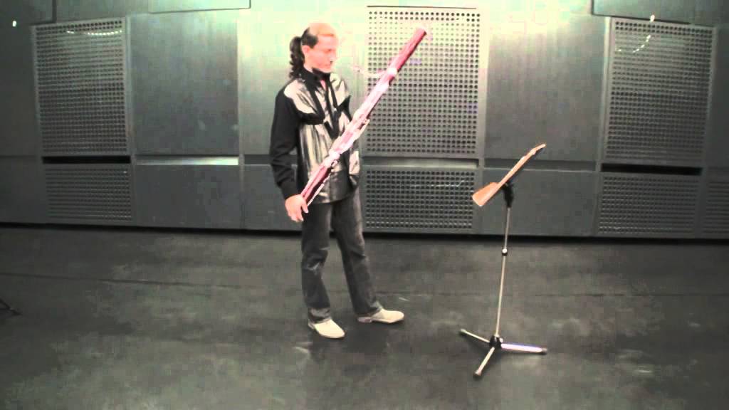 HK Audition - Aleksandar Ranisavljev
