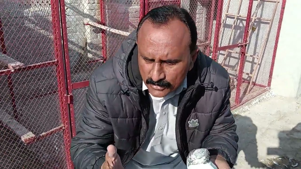 Anmol breed piplan Waly Fairoz puri ka Shok kryn 