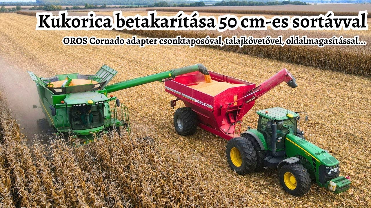 Kukorica betakarítás 50 cm-es sortávval - Oros Cornado adapter Somogy vármegyében