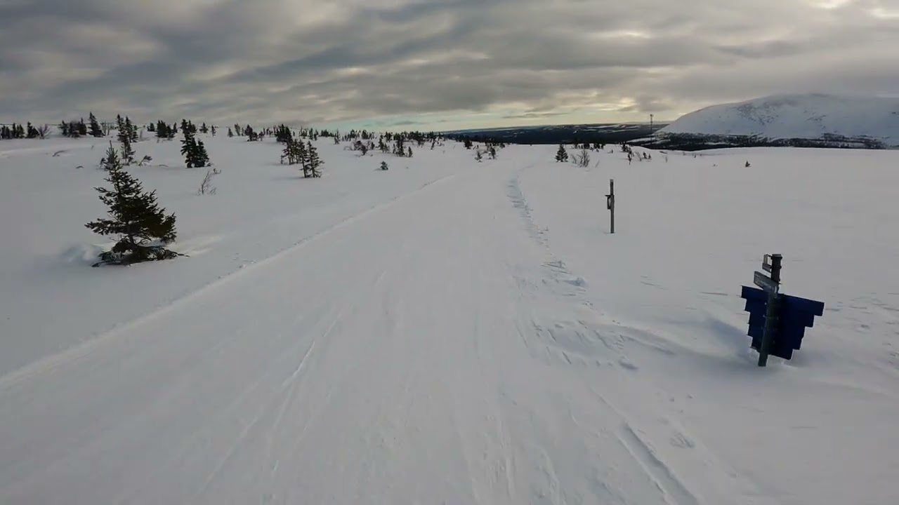 Bydalen, från toppen till Fjällhalsen