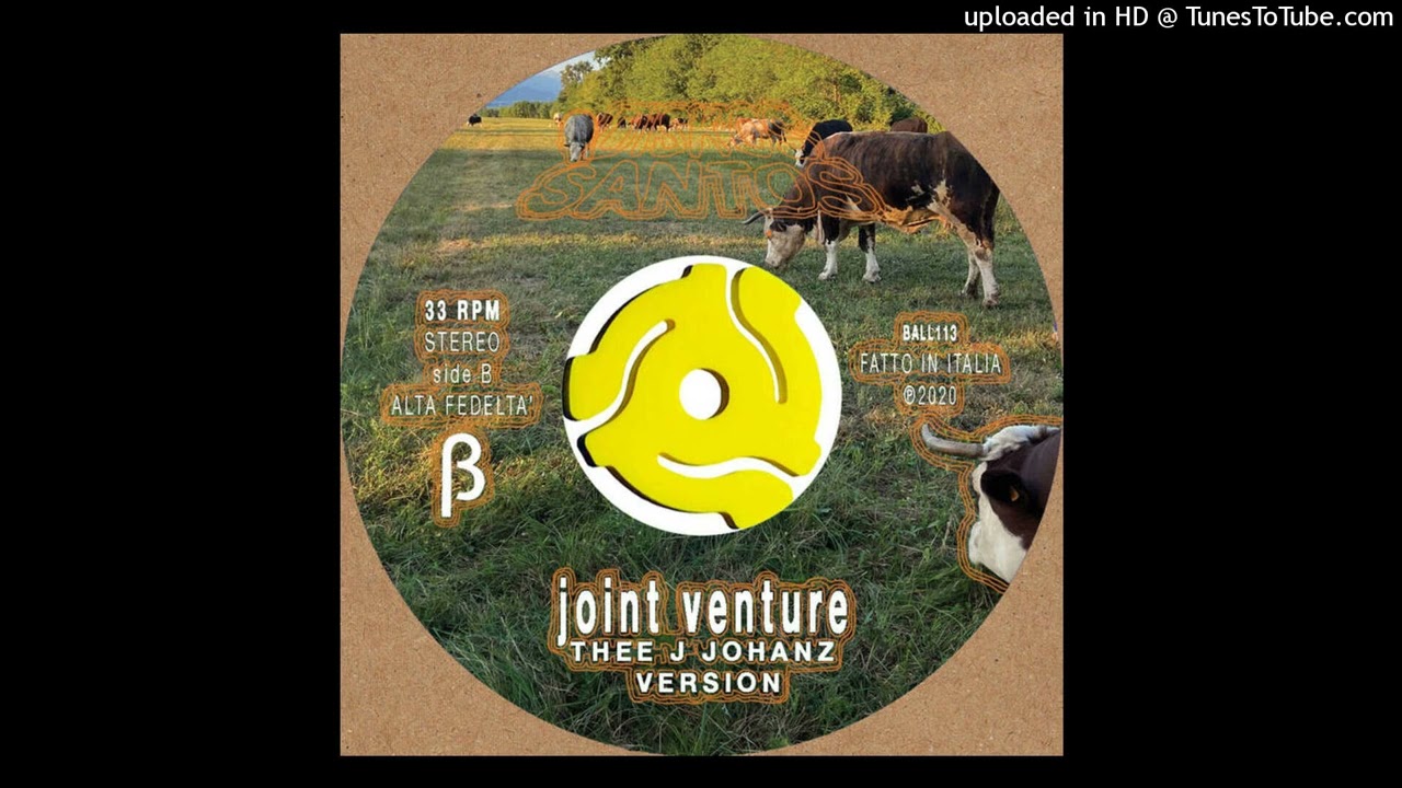 Unknown Artist - Joint Venture (Thee J Johanz Version)