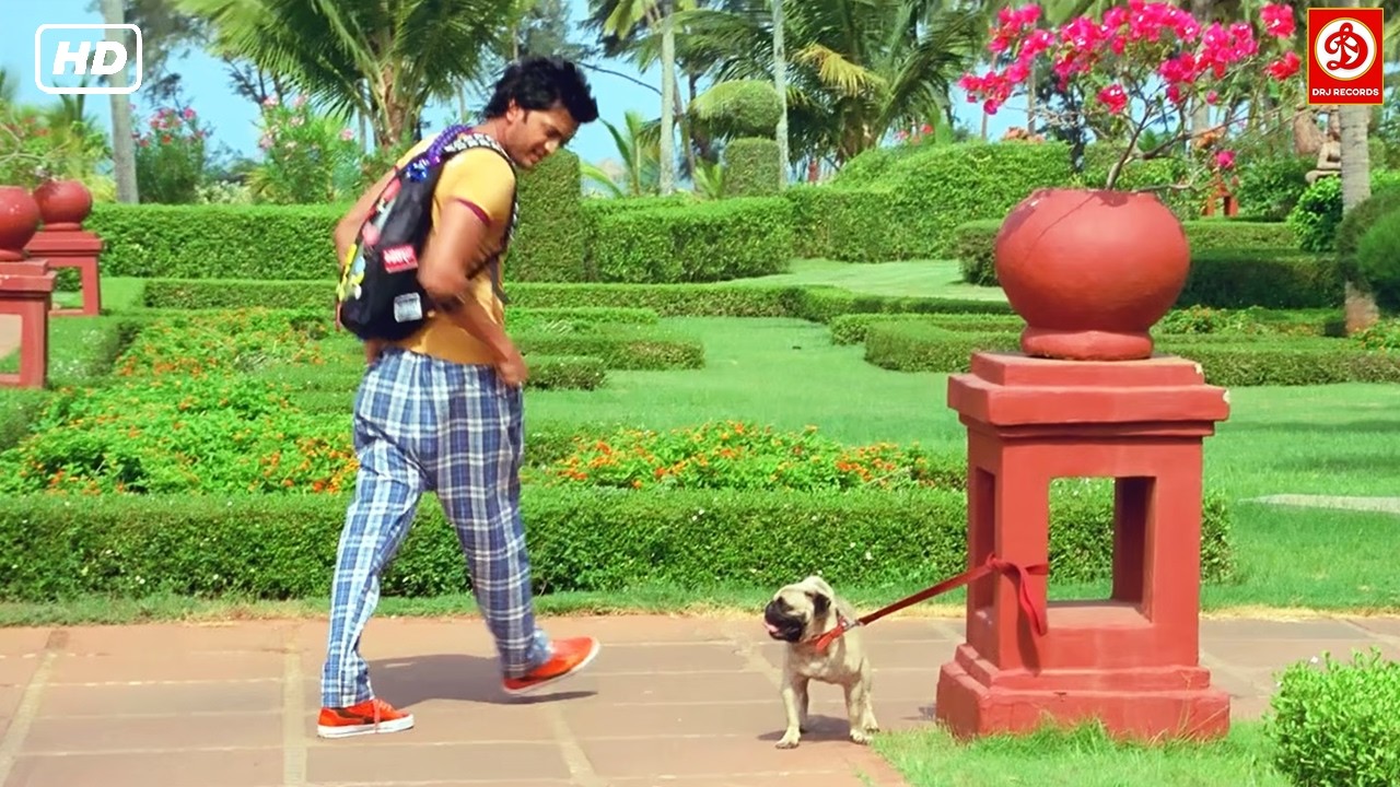 बहुत परेशांन  करता है चार दिन भूखा रहेगा ना तब पता चलेगा...बॉलीवुड की लोटपोट कर देने वाली कॉमेडी