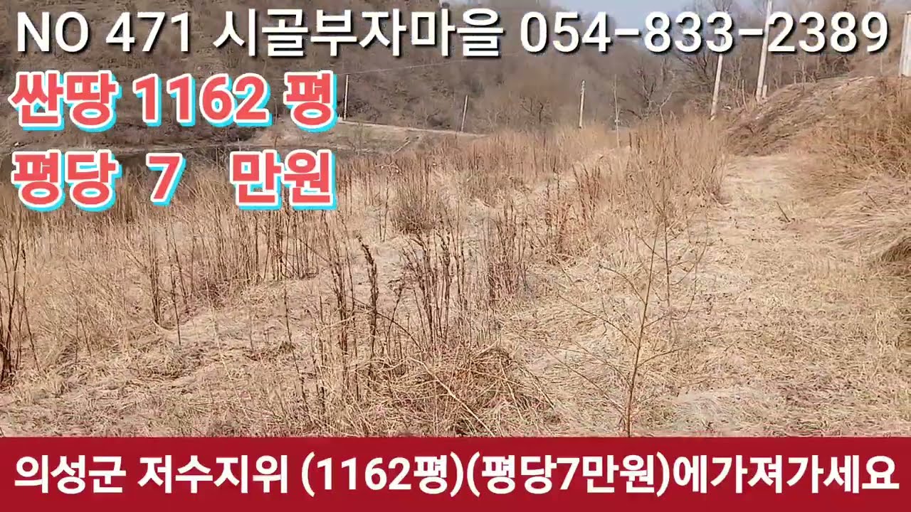#의성군 싼땅 1162평 평당7만원에 가져가세요#컨테이너 창고 농기구  다드린답니다#저수지위멋진땅#이성싼땅#영천싼땅 #구미싼땅#귀농 #안동싼땅 #경북싼땅 #군위싼땅 