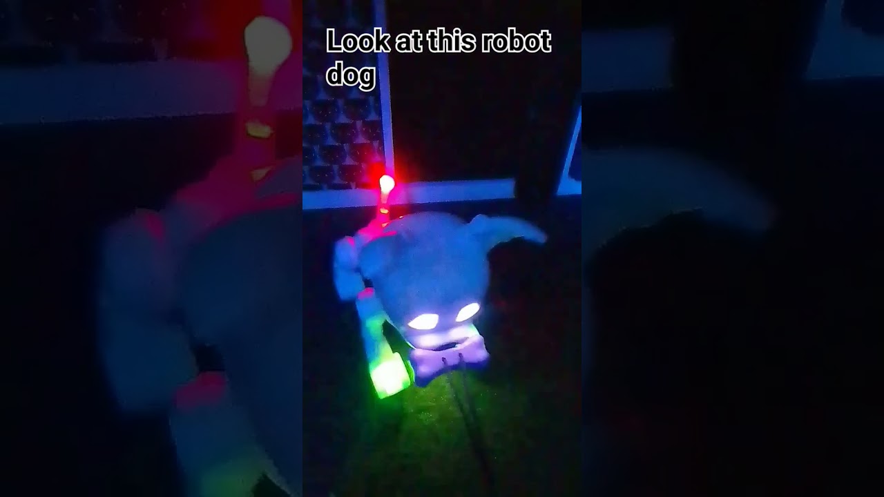 I got this robot dog.  it is called Dog E by it at smyths toys superstore#socute