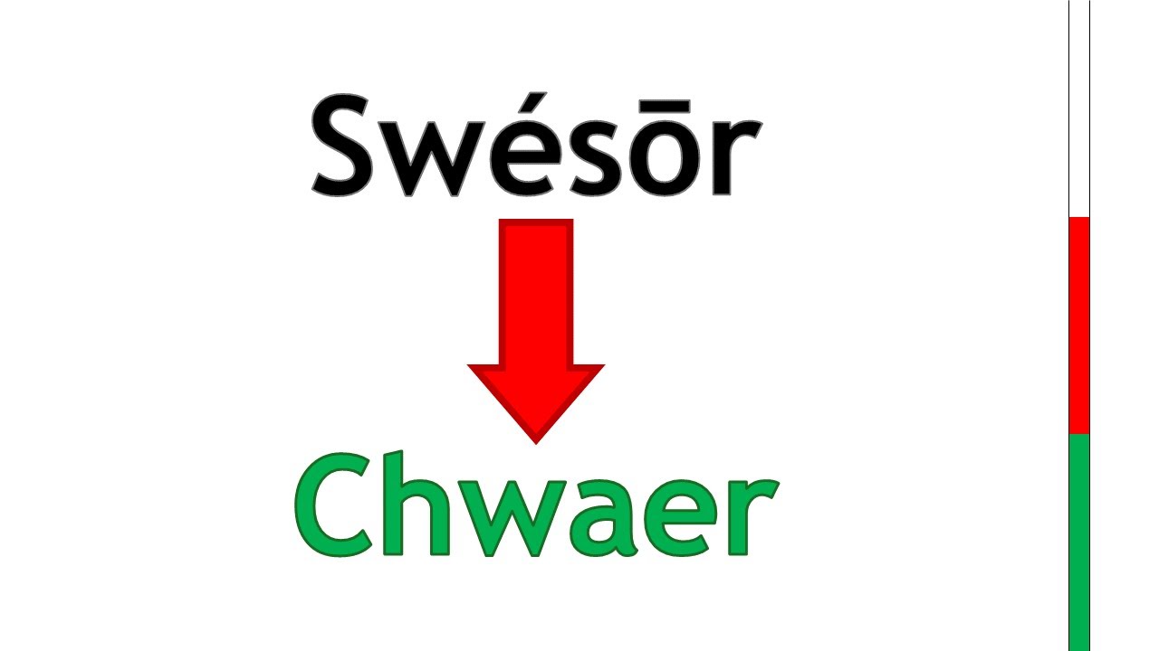 The Evolution of Welsh in 22 Words