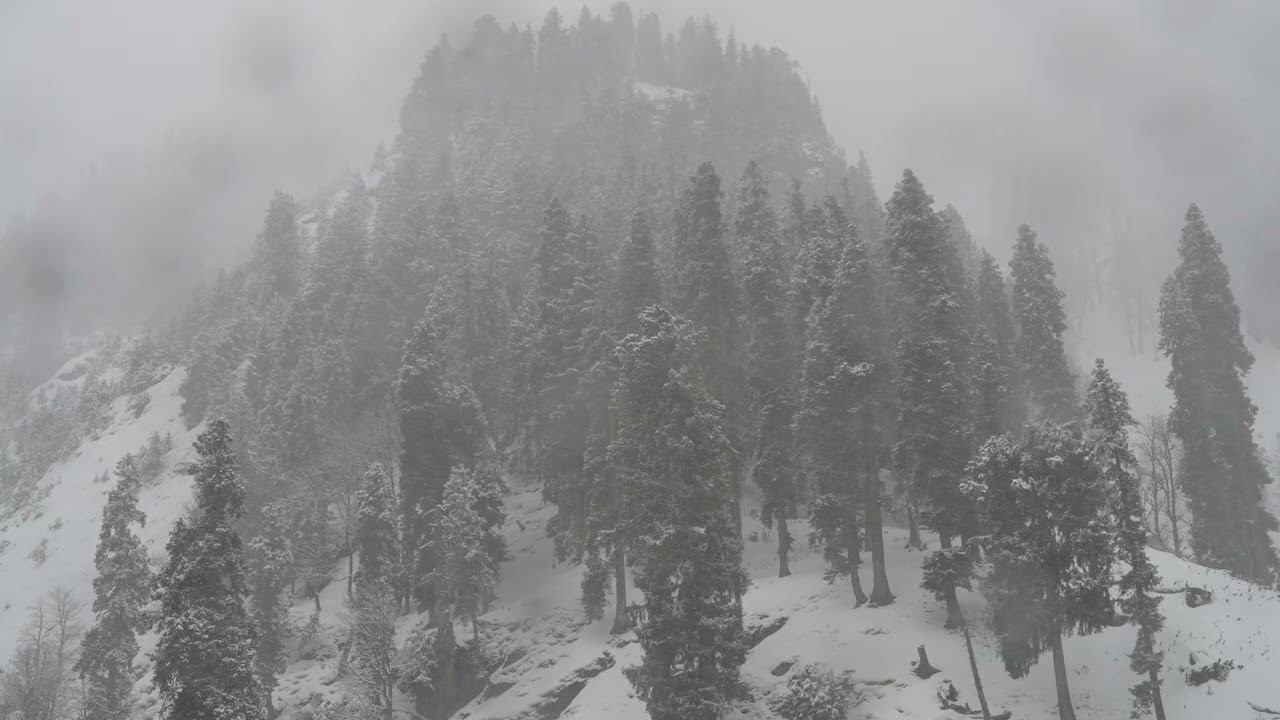 Snowing in Kashmir # 2