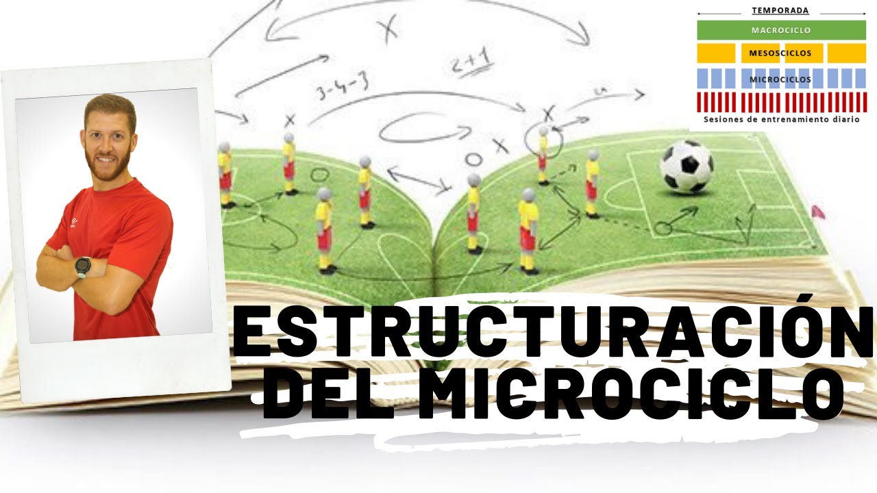 📊  ¿Cómo se estructura un Microciclo? 📊
