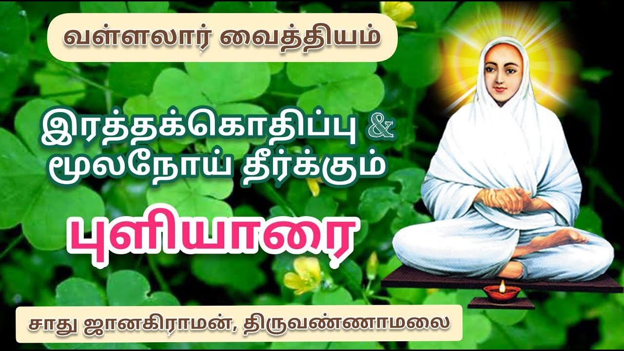 காயசித்தி மூலிகை புளியாரை | வள்ளலார் வைத்தியம், Kayasidhi herbal puliyarai vallalar Herbal Vaithyam