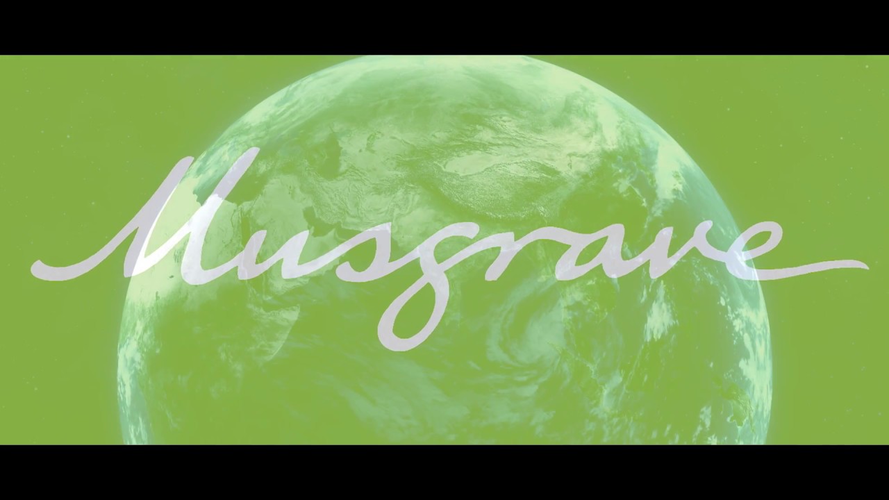 Musgrave - Dialprix, Dialsur y Dicost