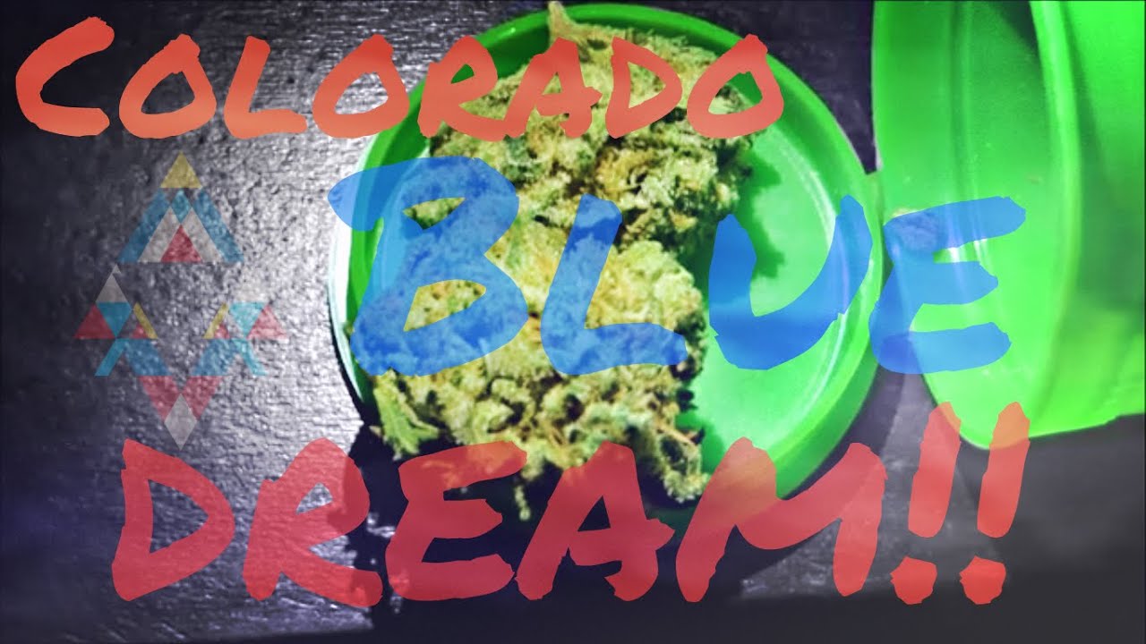 Colorado Blue Dream!!
