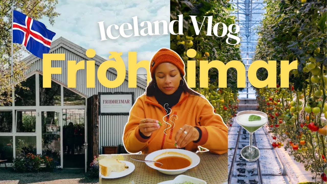 Iceland Fridheimar Tomato Farm Tour | What to do in Iceland | Day 1