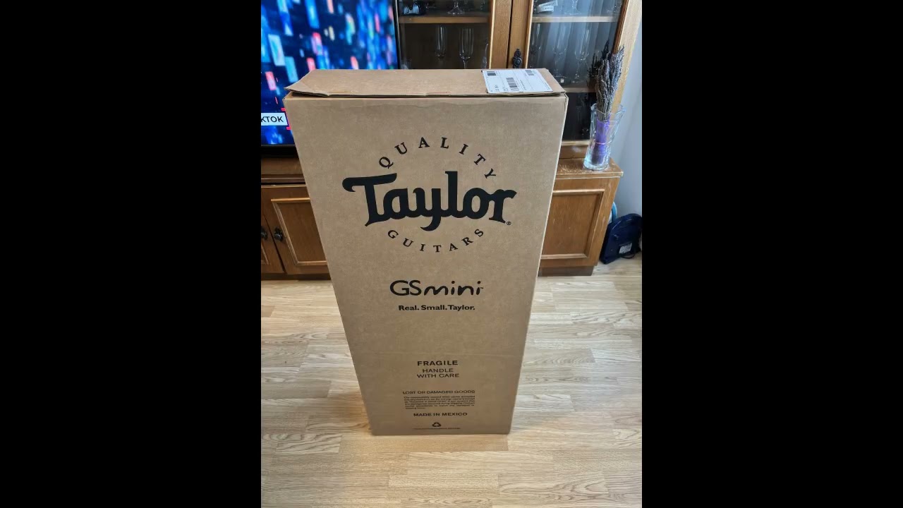 Taylor gs mini sapele torrefied top