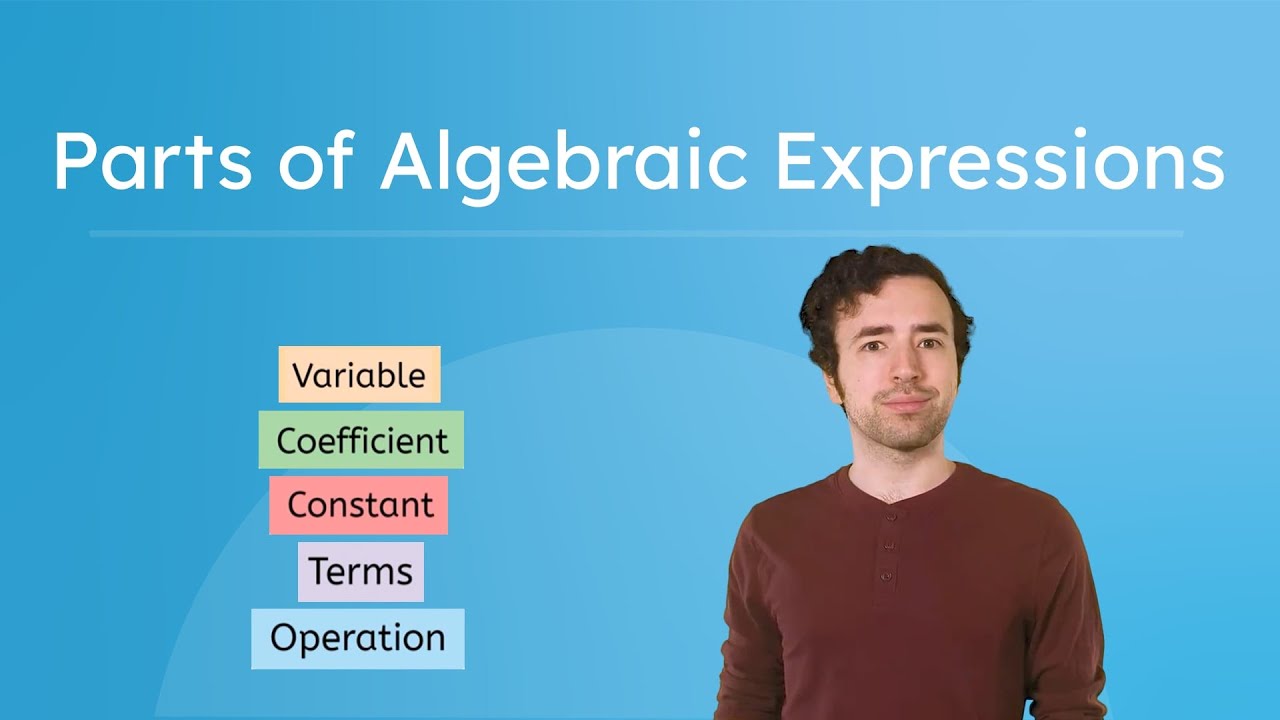Parts of Algebraic Expressions &ndash; Identifying Variables, Terms, and More
