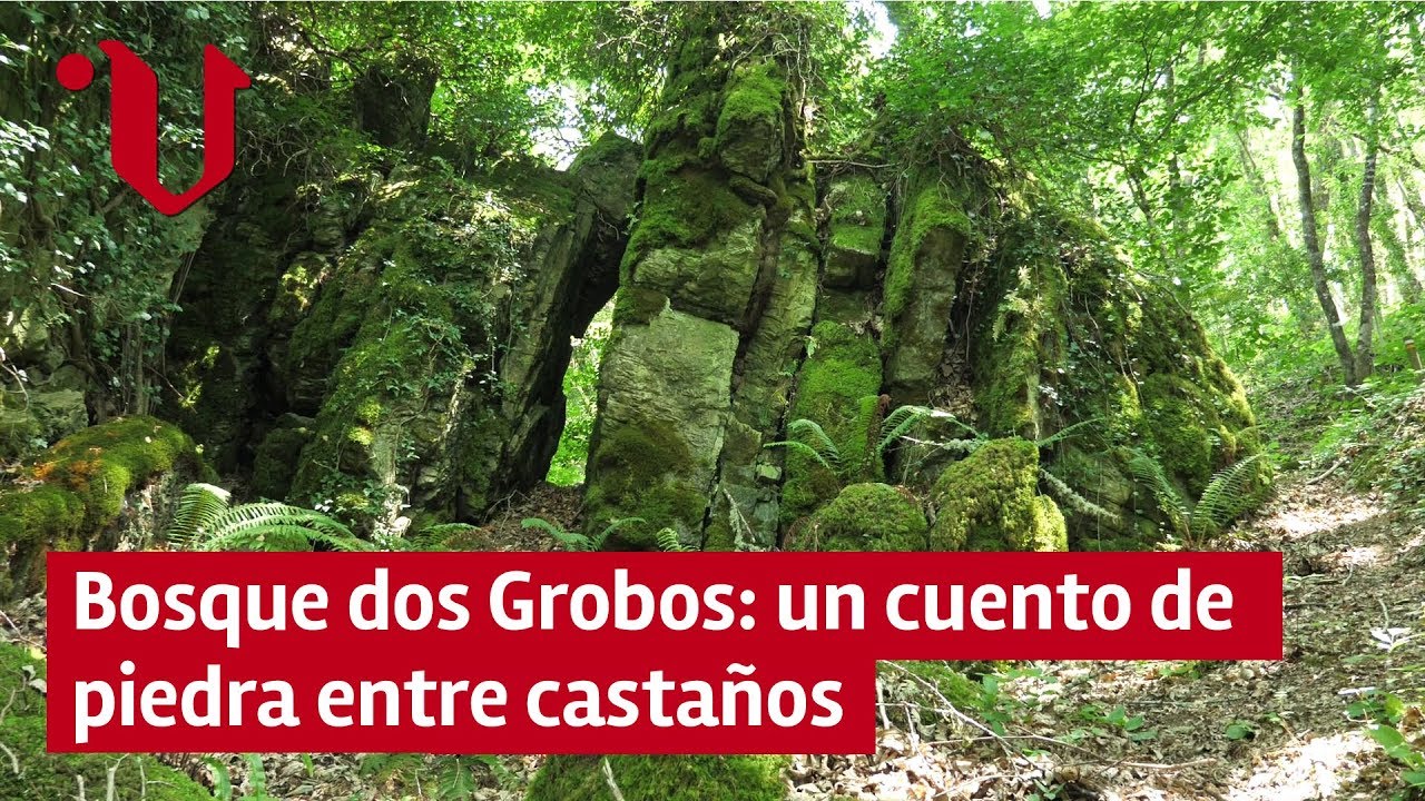 Bosque dos Grobos: un cuento de piedra entre castaños