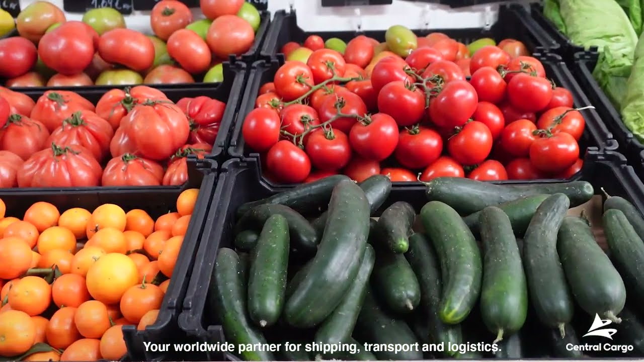 Central Cargo - Fruit Logistica