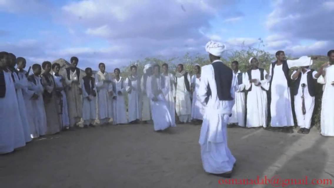 بيبوب احتفالا بزواج الاخوة الاشراف بسنكات