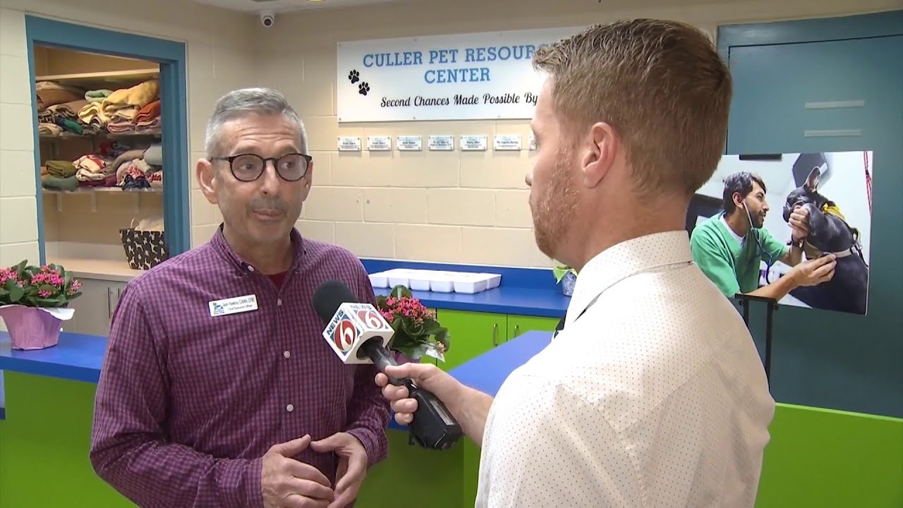 First-of-its-kind shelter opens for pets of domestic violence survivors