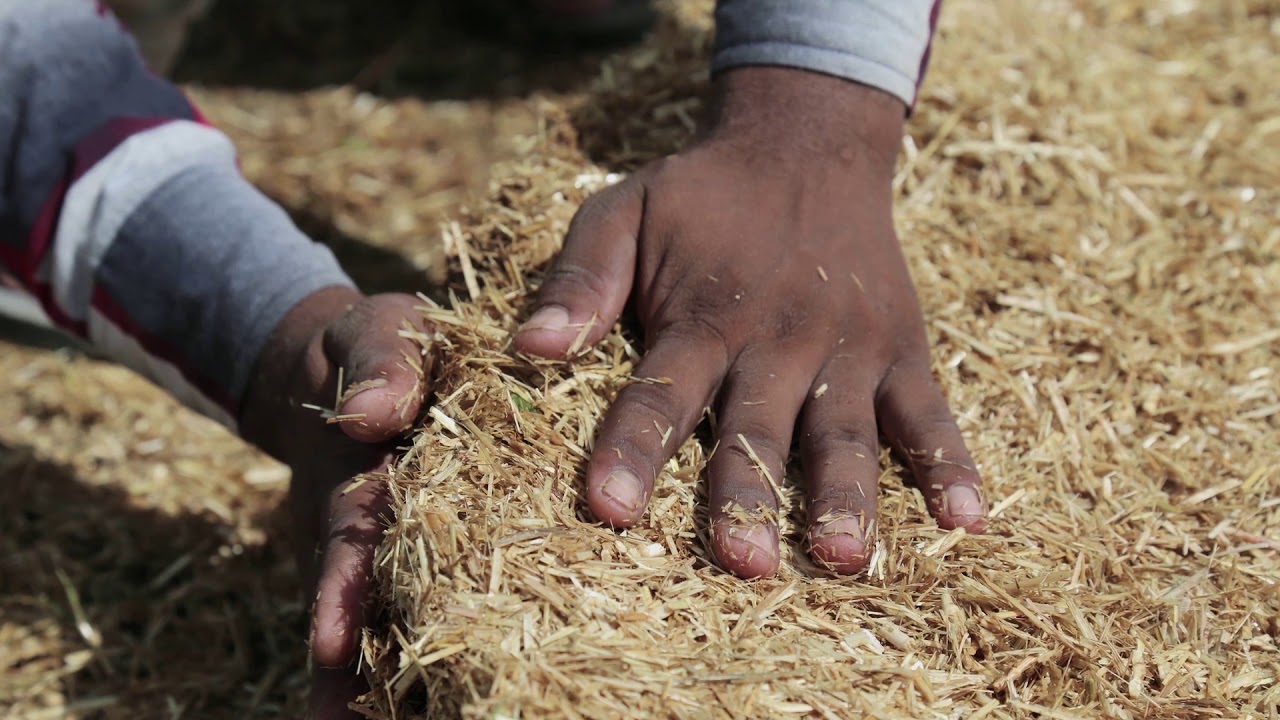 Instructional Video for Shivansh Fertilizer