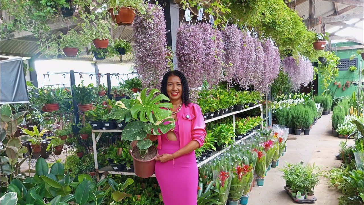 Novidades😱🪴💚 na floricultura campana 🥰