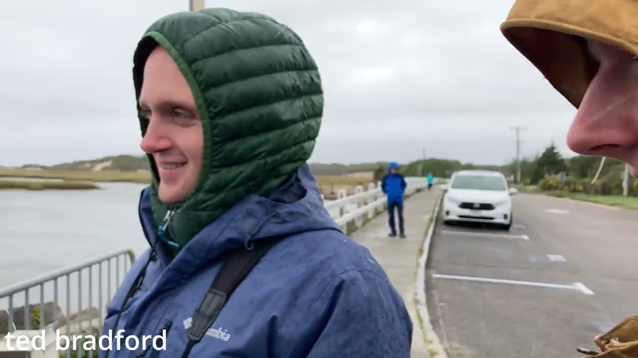 Cape Cod Fall w/ Bird Club 2: Storm Begins with Ted