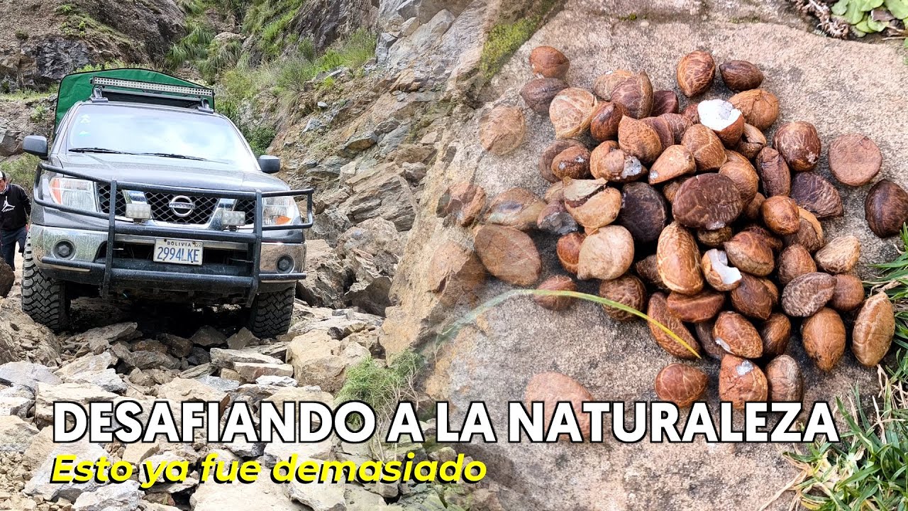 HICIMOS ESTO PARA LLEGAR A EL PALMAR - Todo sea por el 