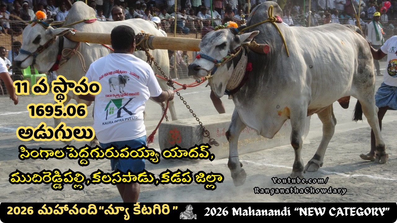 2026 #mahanandi NewCategory #ongolebullsshow 11th Place SINGALA PEDDAGURUVAIAH YADAV, Mudireddypalli