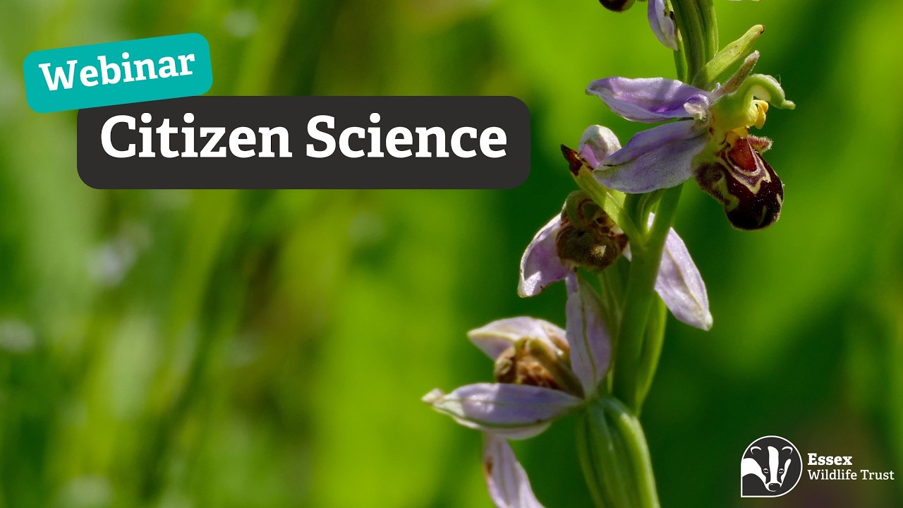 Citizen Science │ Essex Wildlife Trust webinar