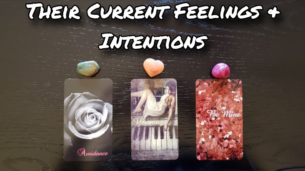 💗🙄 Their Current Feelings & Intentions Towards You 💞💌 Pick A Card Reading 