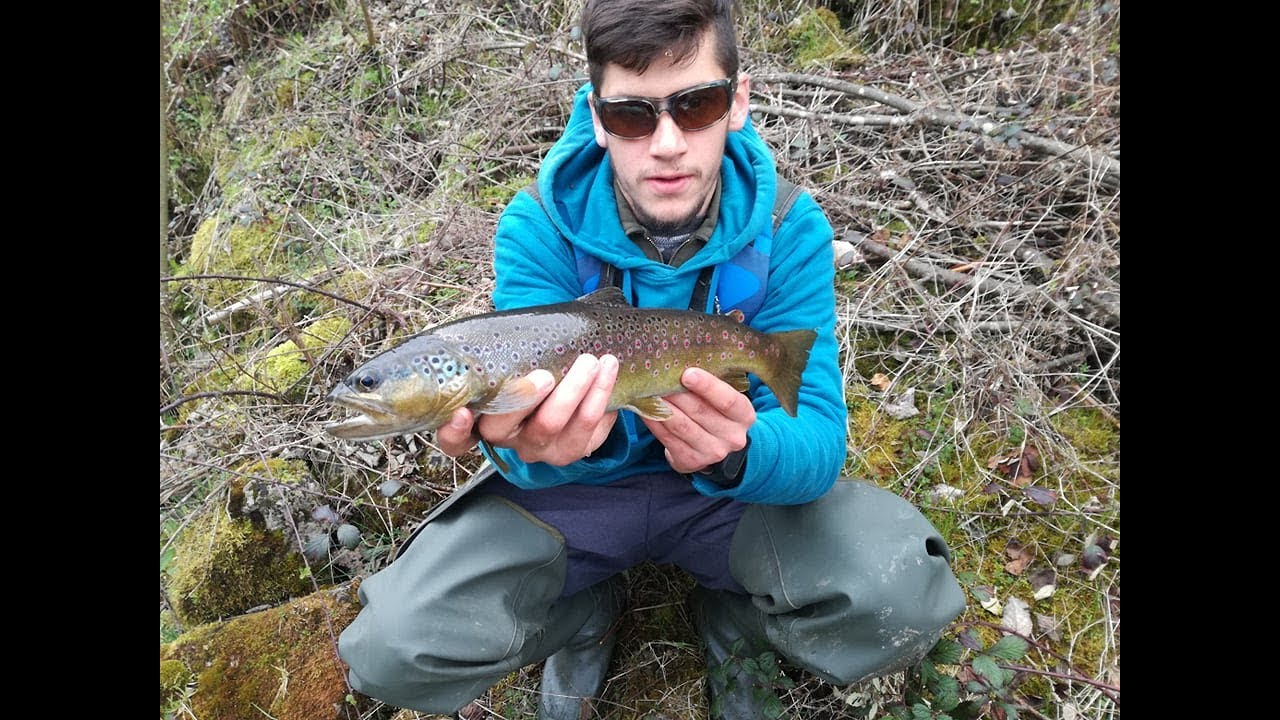 Mountain Trout Fishing
