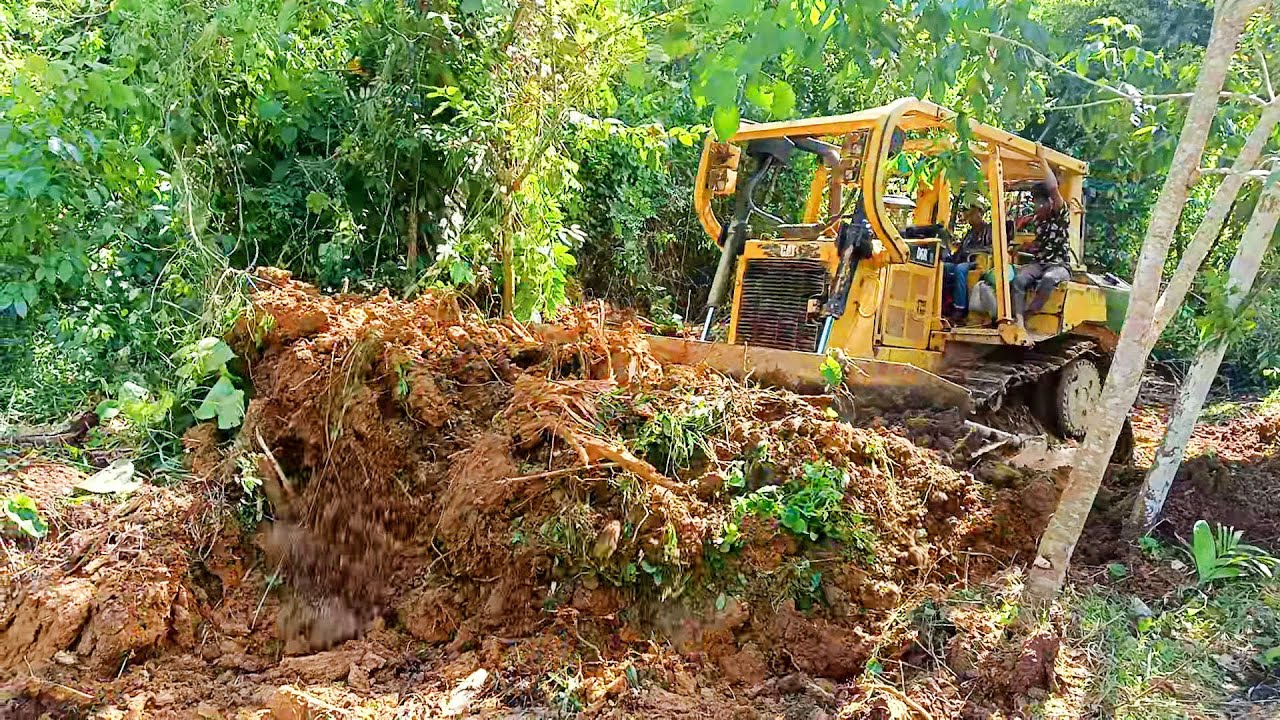 D6R XL Bulldozer Makes a Powerful Contribution to Plantation Development!