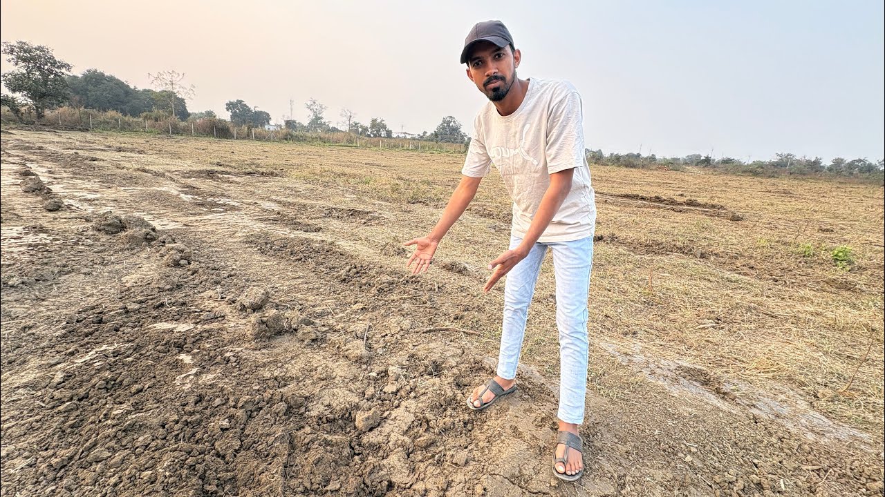 🏏Cricket ground Ma Gadde Ho gaye 😞 #cricket #vlog #viral #trending #viralvideo #cricketlover 
