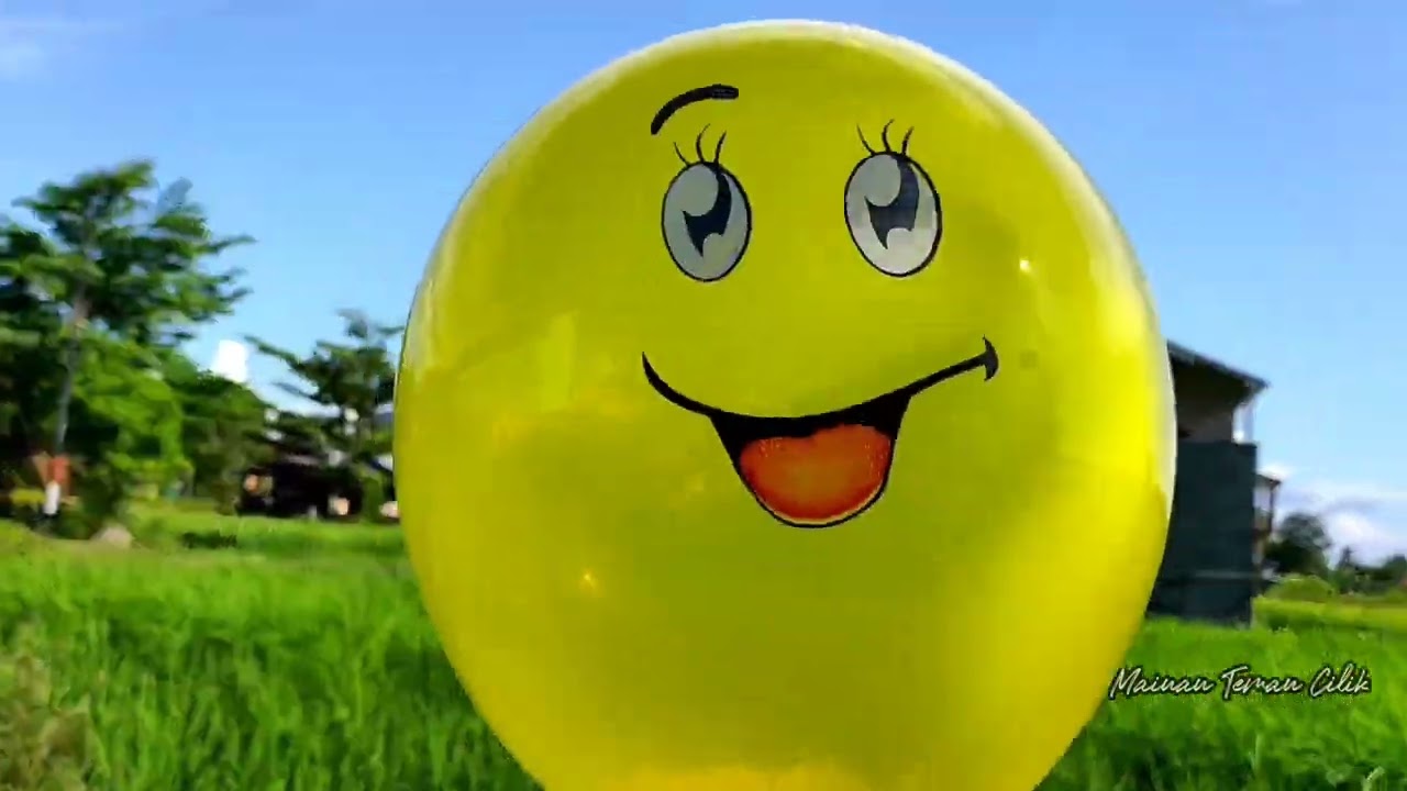 Wow Seru Banget !! Pompa Balon Dan Melempar Ke Persawahan Hingga Pecah !!