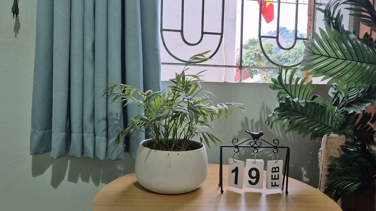 12 # Chờ em lớn nhé, được không # C29 - C31 # Diệp Lạc Vô Tâm