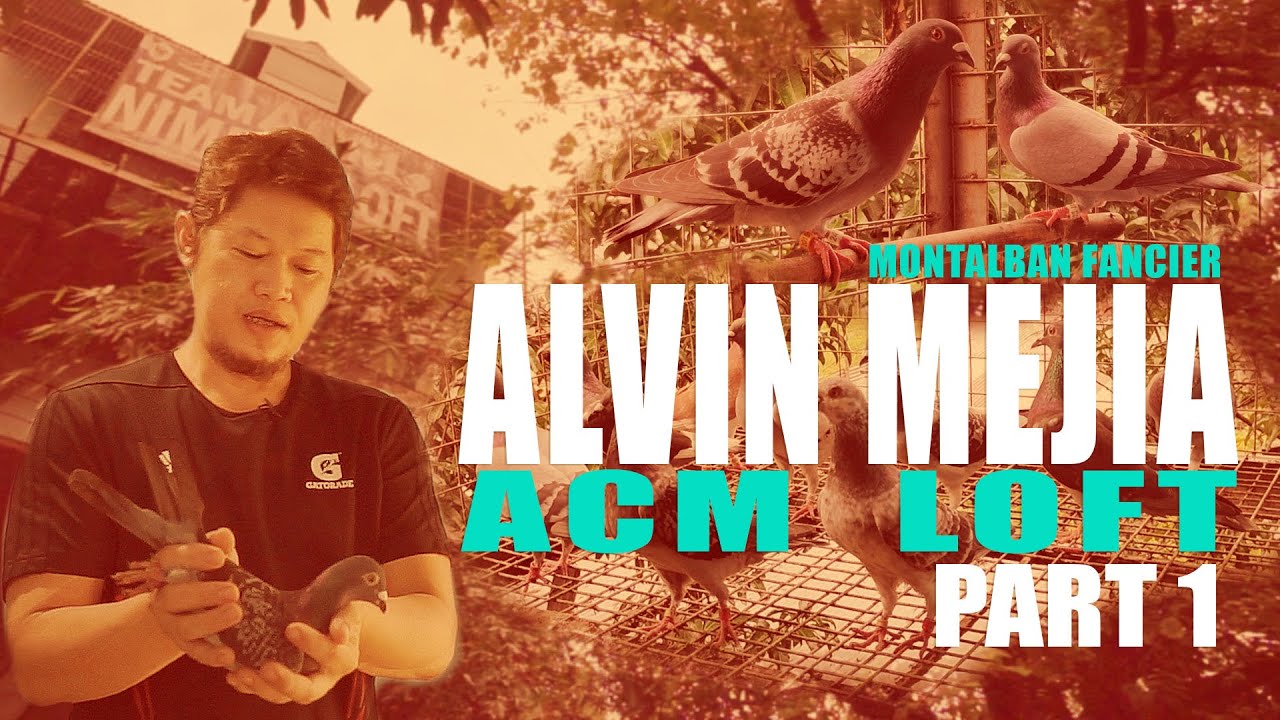 PART 1 | ACM LOFT BY ALVIN MEJIA