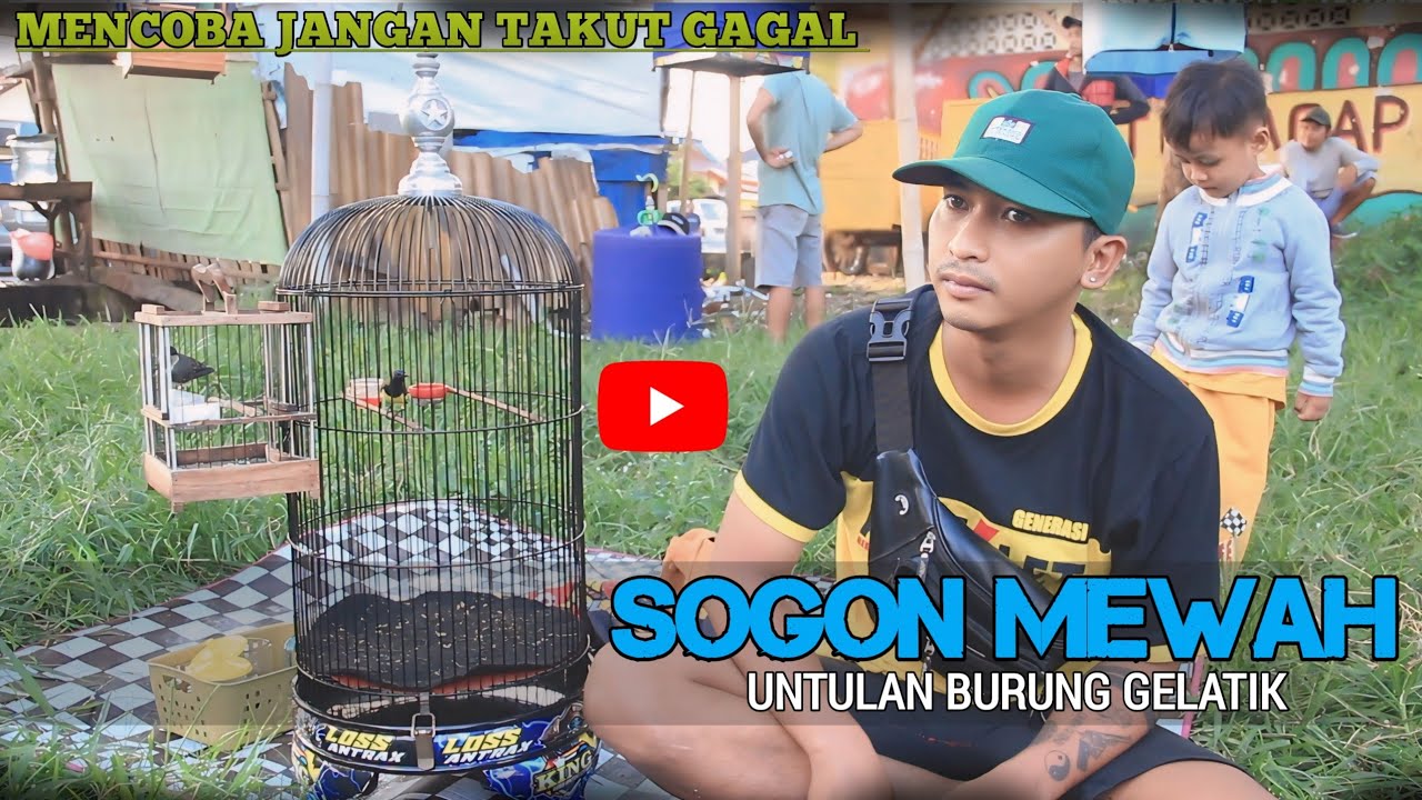 Beli Materi 3 Bulan Belum Mau Bunyi || KETEMU SOGON MEWAH UNTULAN BURUNG GELATIK DI LATBERAN