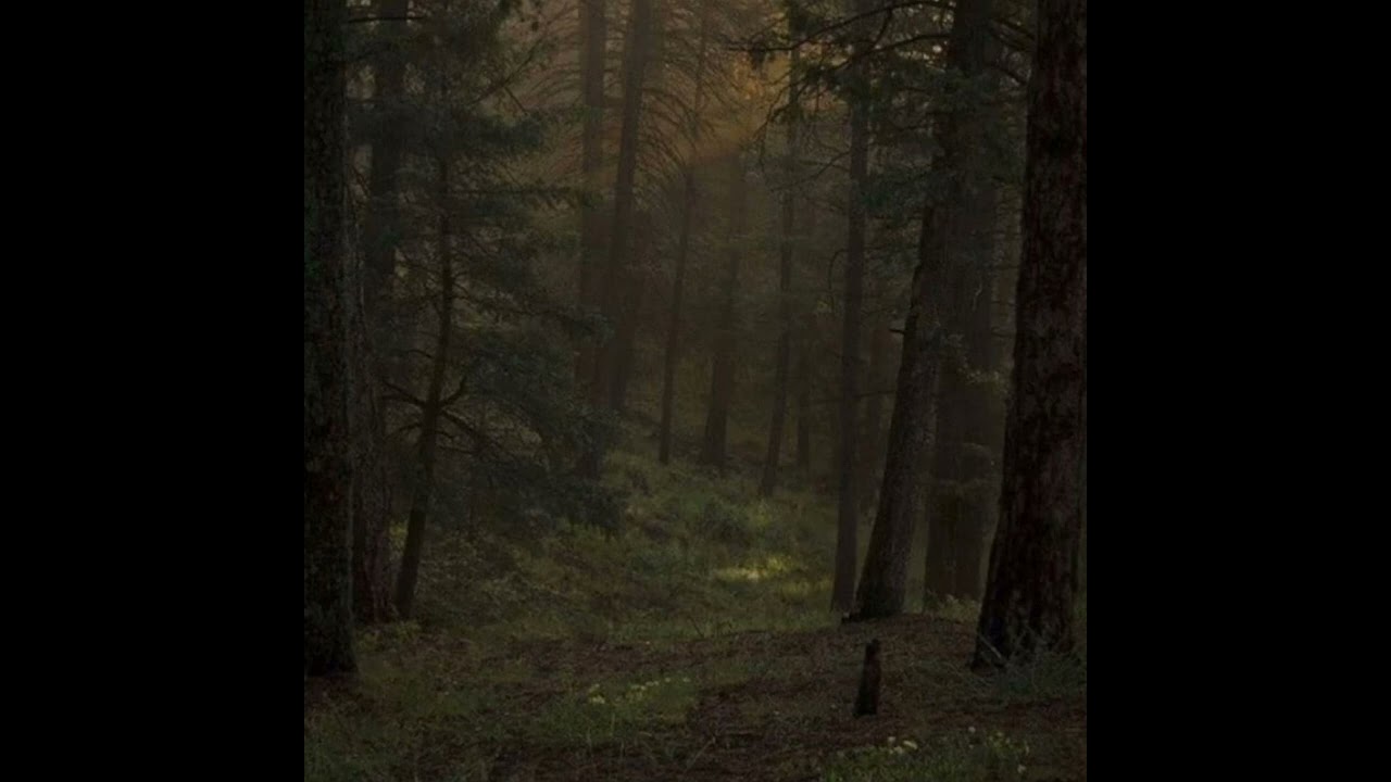 Maroon 5 - Lost || Speed Up