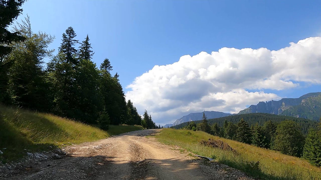 Drumul p&acirc;nă la Cabana Diham